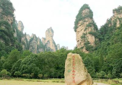 走湘西——張家界、鳳凰古城游記(一)